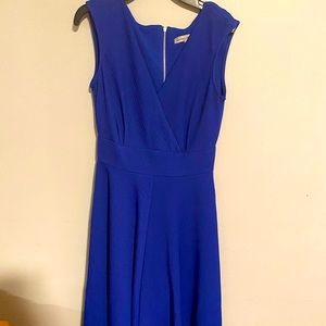 Blue flare dress
